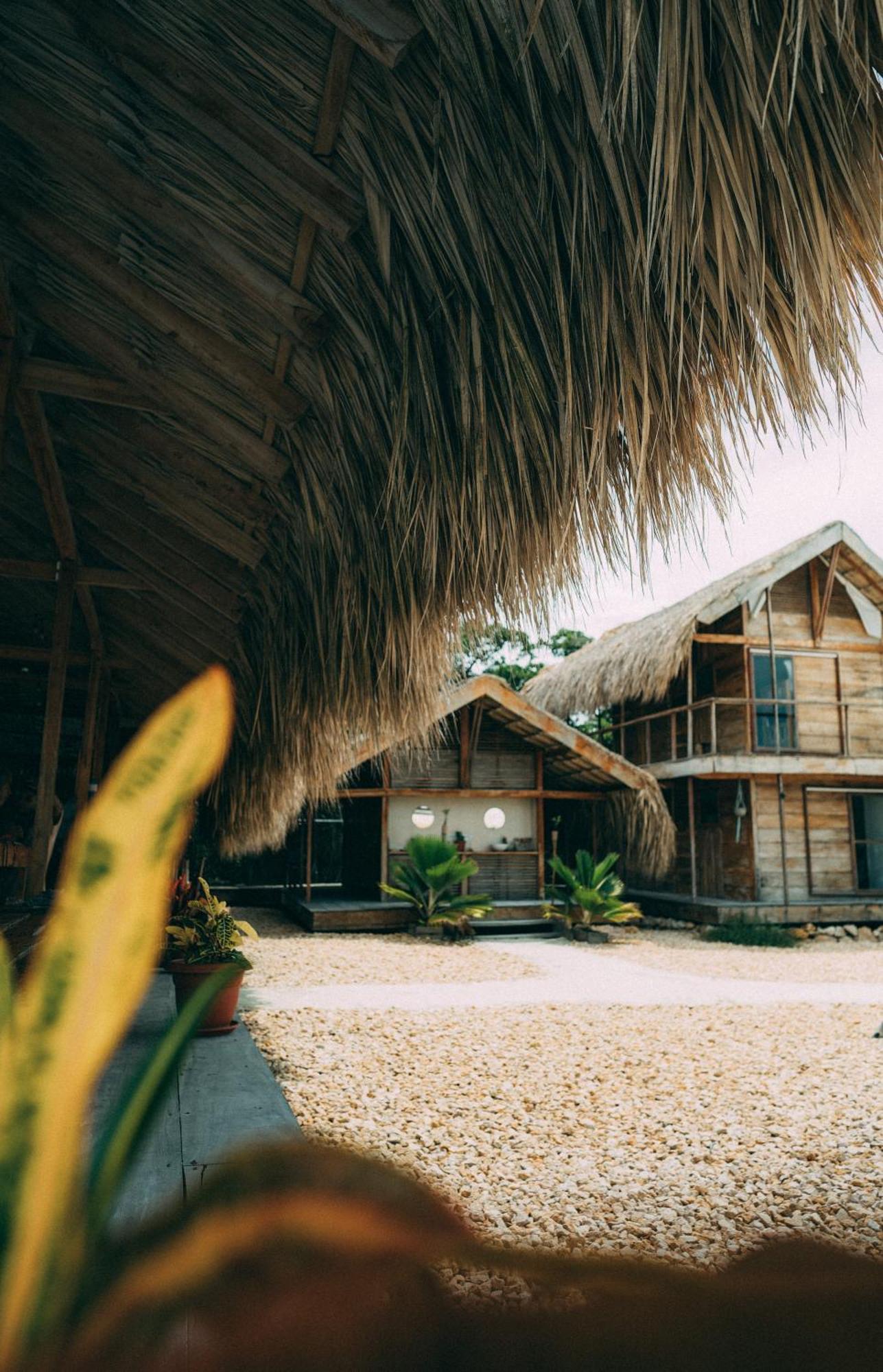 Santa Lova Eco-Hostel Isla Tintipan Tintipan Island Екстер'єр фото