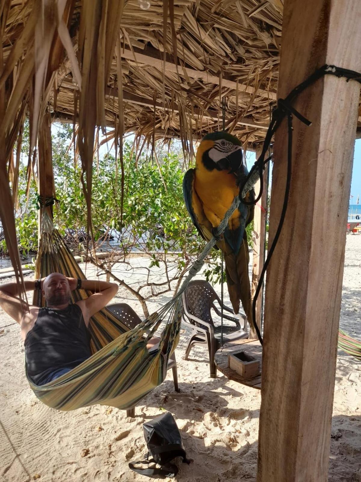 Santa Lova Eco-Hostel Isla Tintipan Tintipan Island Екстер'єр фото